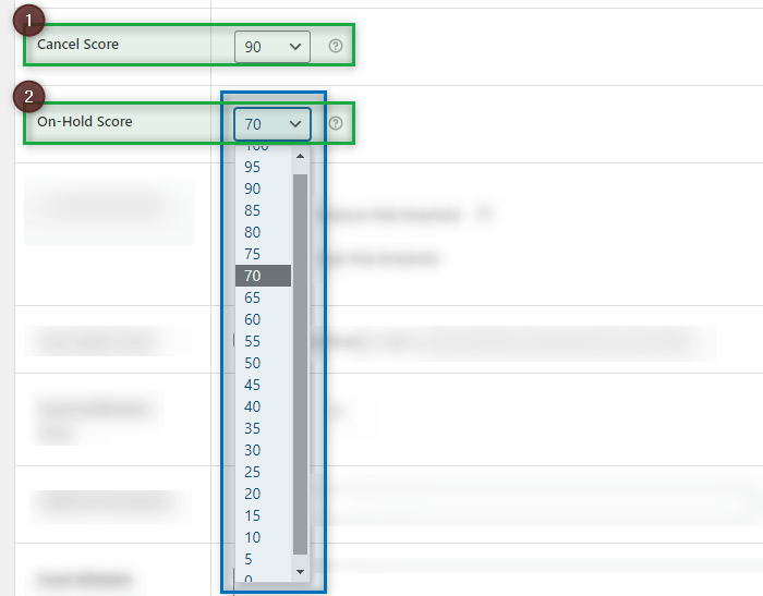 Plugin-Setting