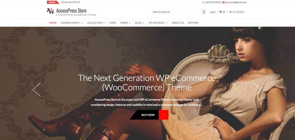 AccessPress Store